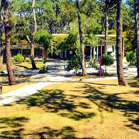 Апартаменты Golden Stone Retreat *