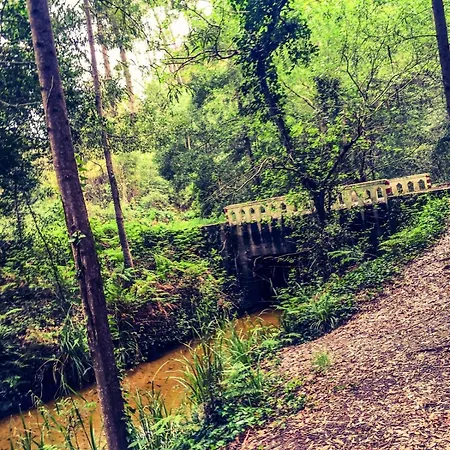 Golden Stone Retreat * 파타이아스