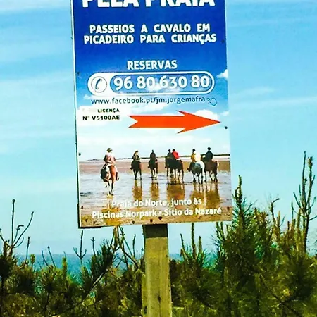 Golden Stone Retreat 아파트