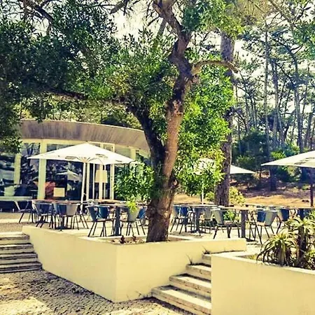 아파트 Golden Stone Retreat