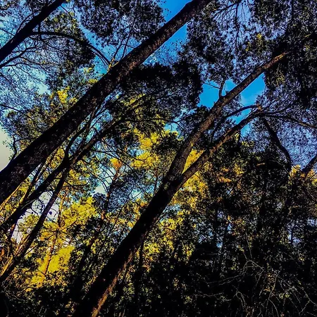 아파트 Golden Stone Retreat *