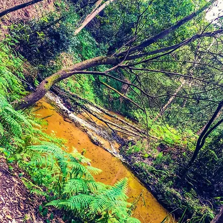 Golden Stone Retreat 아파트 *