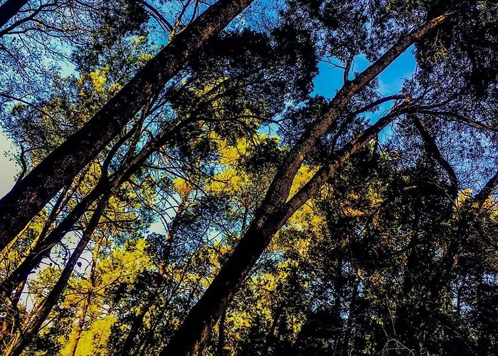 Appartamento Golden Stone Retreat *